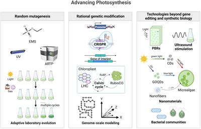 Emerging technologies for advancing microalgal photosynthesis and metabolism toward sustainable production